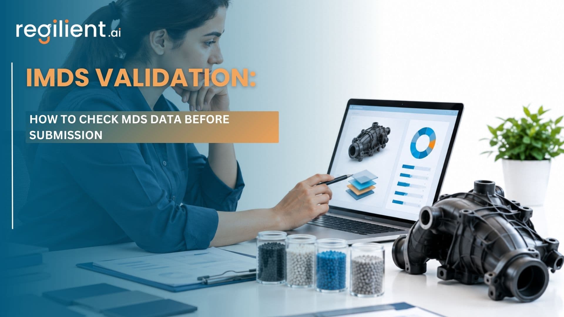 IMDS Validation.jpg