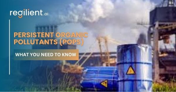 Persistent Organic Pollutants (POPs): What You Need to Know