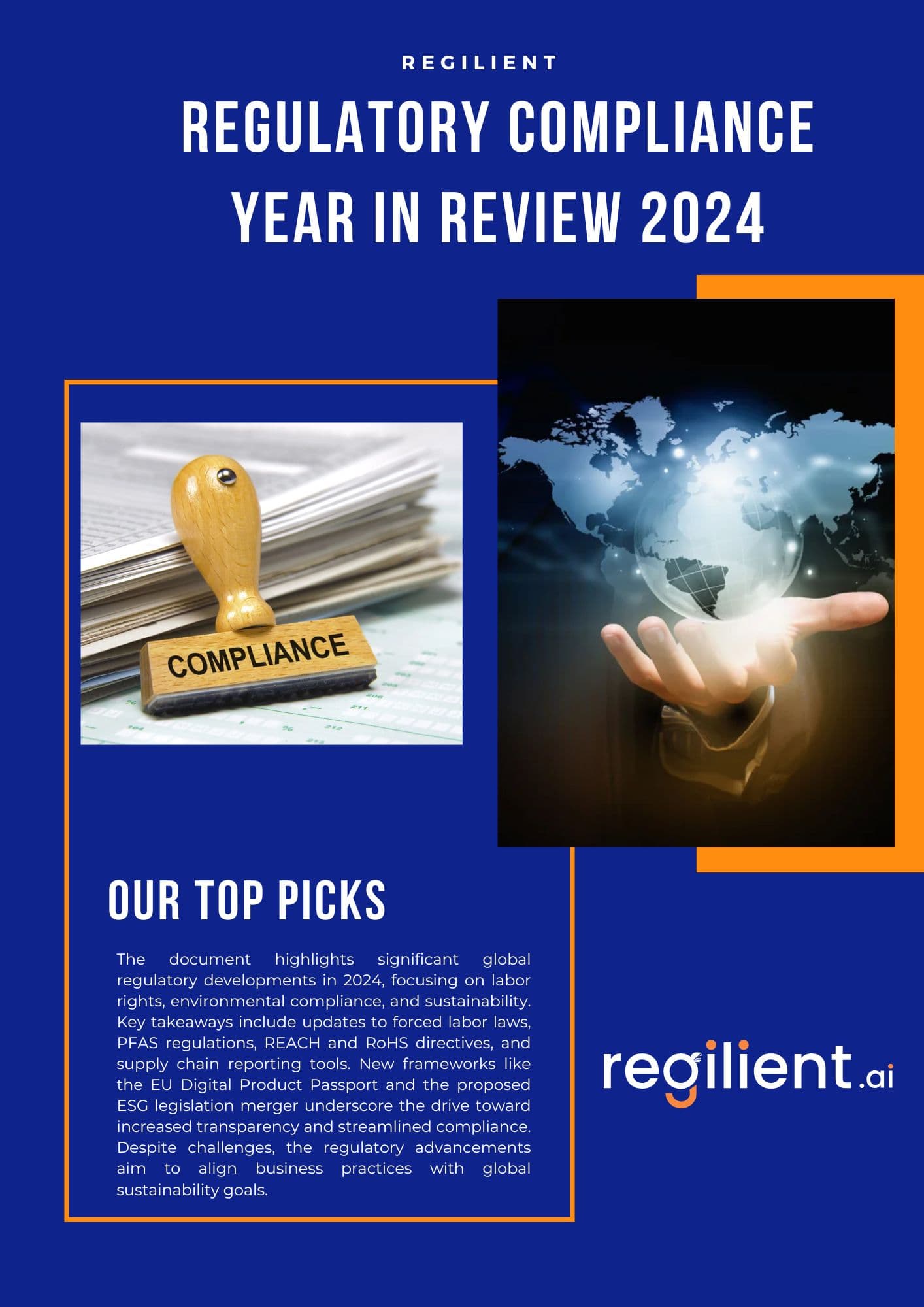 REGULATORY COMPLIANCE YEAR IN REVIEW 2024