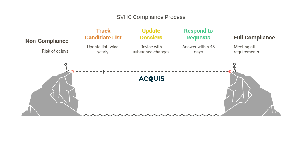 What Is EU REACH_ - visual selection (1).png