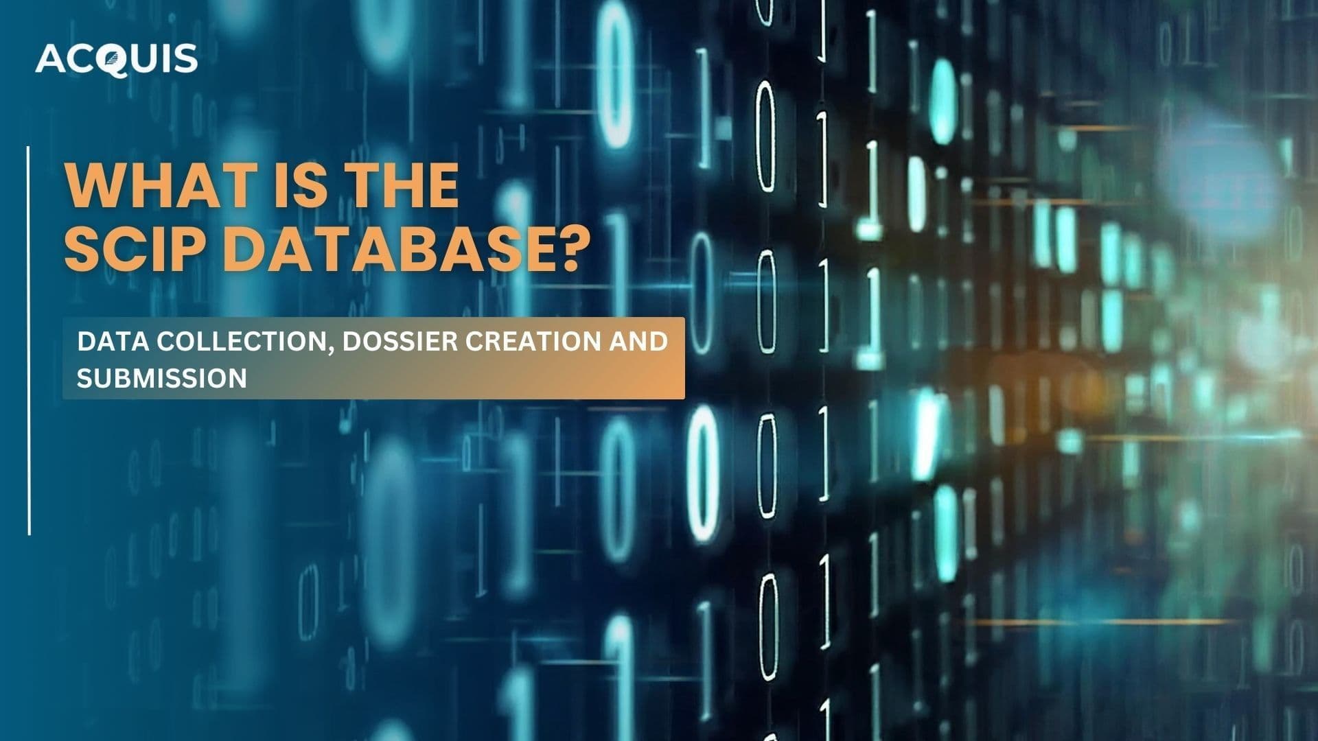What Is the SCIP Database?