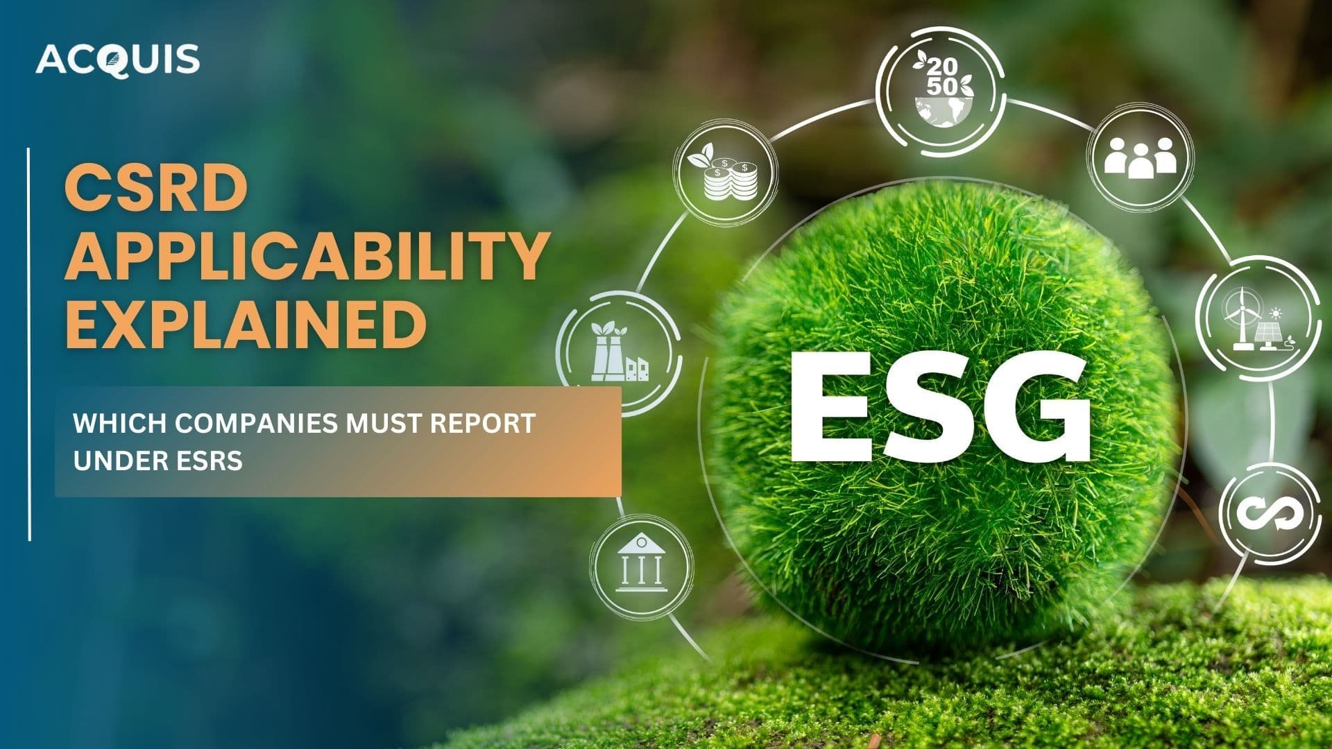 CSRD Applicability Explained Which Companies Must Report Under ESRS.jpg