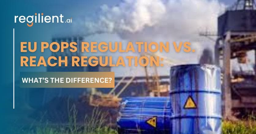 EU POPs Regulation vs. REACH Regulation: What’s the Difference?