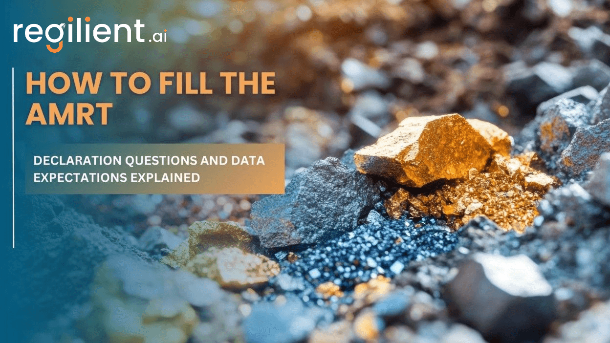 How to Fill the AMRT: Declaration Questions and Data Expectations Explained