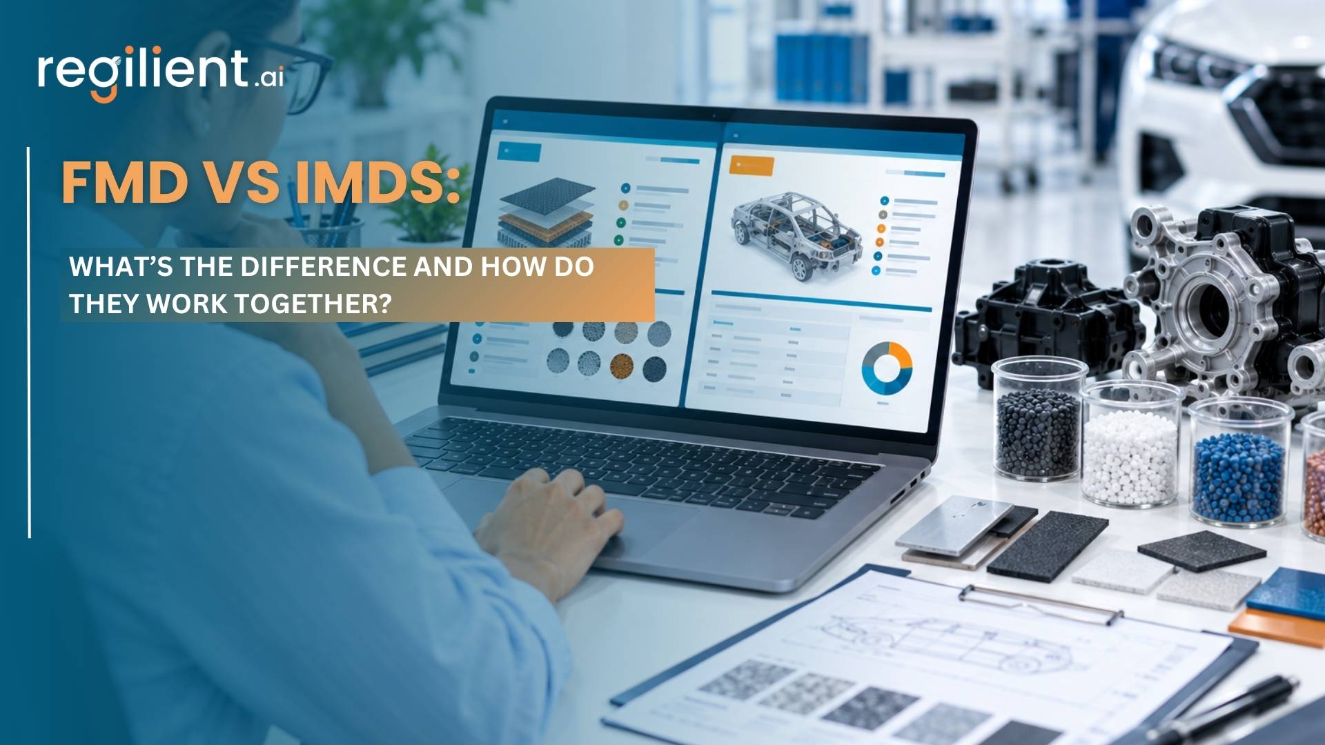 FMD vs IMDS What’s the Difference and How Do They Work Together